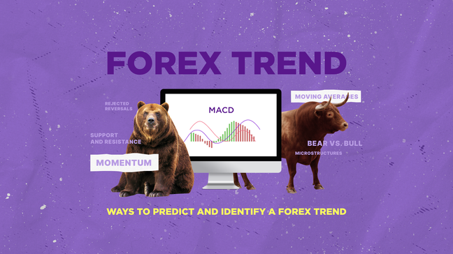 Forex trend
