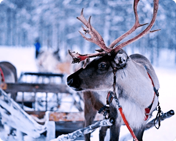 Finland
